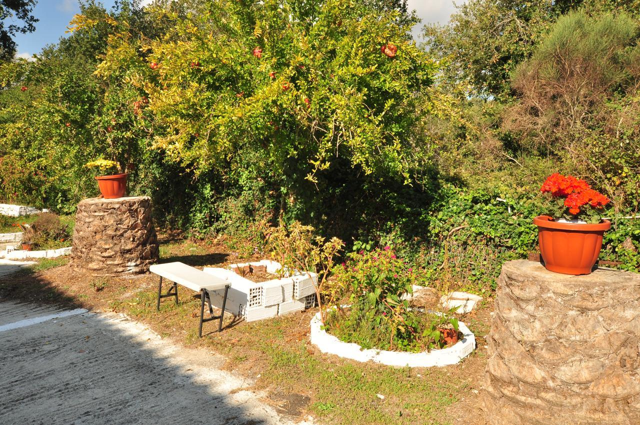Laskaris Studios Dassia  Exterior foto